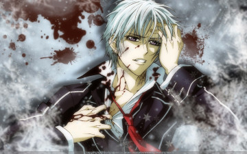 Картинка аниме vampire knight