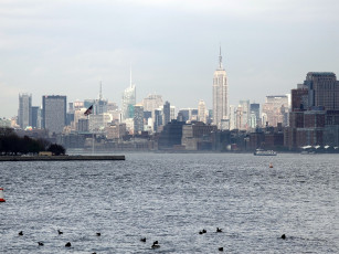 Картинка нью йорк города сша вода здания утки