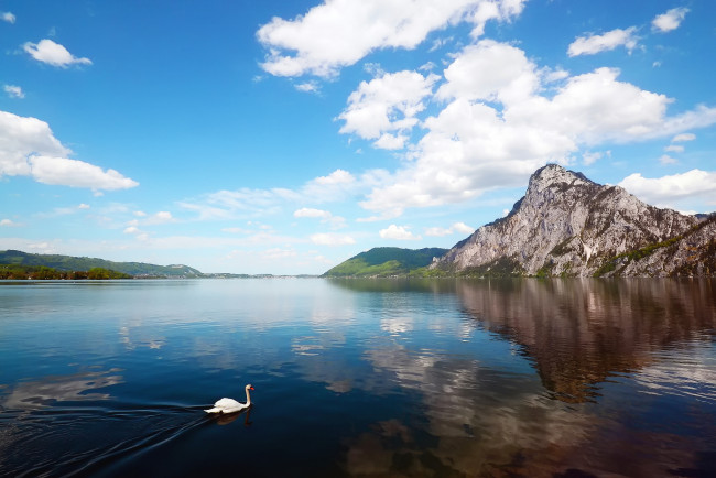 Обои картинки фото природа, реки, озера, озеро, горы, лебедь, пейзаж