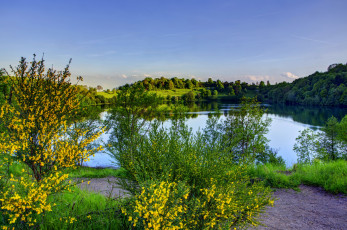 Картинка германия эльшайд природа реки озера река лес кусты