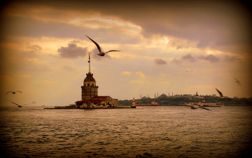обоя города, стамбул, турция, istanbul, море, чайки, закат, пейзаж