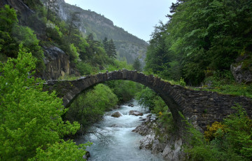 Картинка природа реки озера поток вода мост лес зелень
