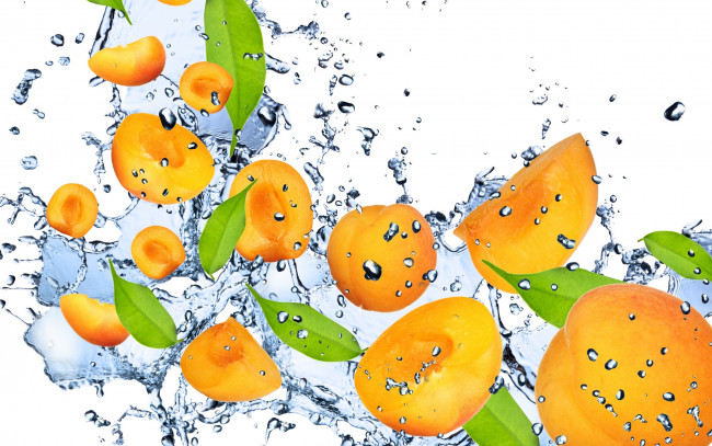 Обои картинки фото еда, персики, сливы, абрикосы, оранжевый, абрикос, вода, капли, брызги, свежесть
