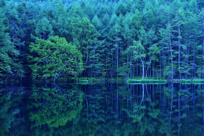 Обои картинки фото природа, реки, озера, лес, деревья