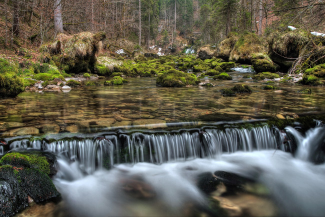 Обои картинки фото river, schwarzbach, austria, природа, реки, озера, река, пороги, лес