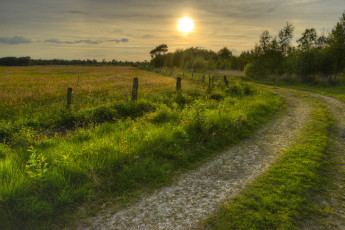 Картинка природа дороги поле трава изгородь дорога лес солнце