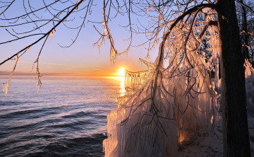 Картинка природа восходы закаты солнце море сосульки лед дерево