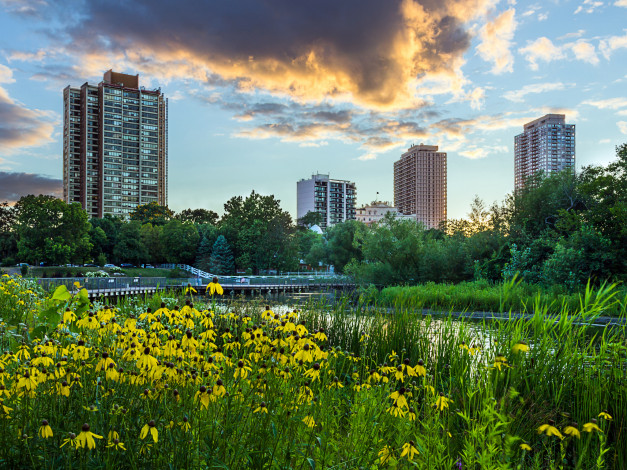 Обои картинки фото lincoln park, города, Чикаго , сша, парк, здания, цветы
