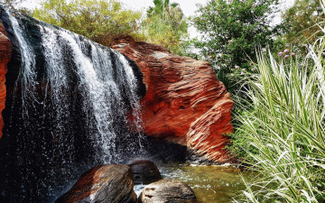 Картинка природа водопады камни вода растения