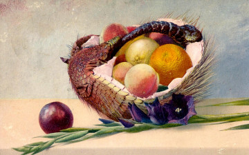 Картинка рисованное живопись цветок корзина фрукты натюрморт