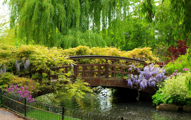 Обои картинки фото природа, парк, река, мост, ивы, цветы, деревья, кусты, изгородь