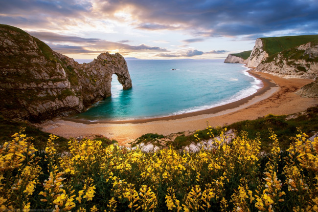 Обои картинки фото природа, побережье, арка, скала, пляж, цветы, море