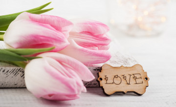 Картинка праздничные день+святого+валентина +сердечки +любовь тюльпаны надпись