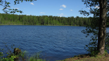 Картинка озеро+щучье природа реки озера озеро лес деревья лето карельский перешеек