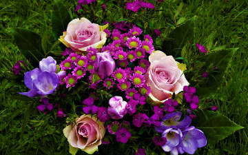 Картинка цветы букеты +композиции трава хризантемы розы крокусы букет