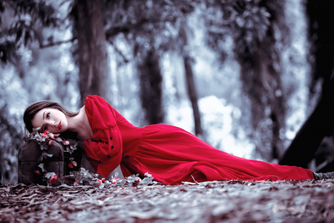 Обои картинки фото девушки, - брюнетки,  шатенки, лес, сундук, брюнетка, поза, красное, платье