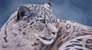 Картинка рисованные животные барсы ирбис снежный леопард барс