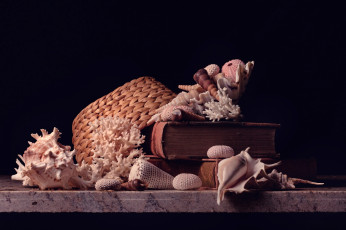 Картинка разное ракушки +кораллы +декоративные+и+spa-камни corals shells hat книги шляпа кораллы books