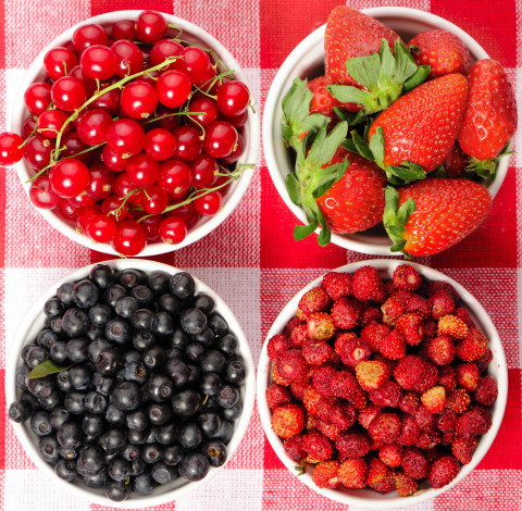 Обои картинки фото еда, фрукты,  ягоды, красная, смородина, клубника, голубика, земляника, ягоды