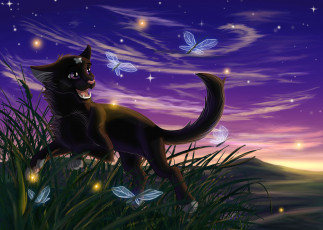 Картинка рисованное животные +коты бабочки фон коты взгляд
