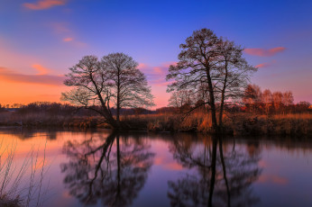 Картинка природа реки озера деревья отражение река
