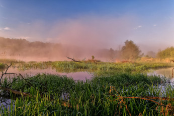 Картинка природа реки озера туман осока река