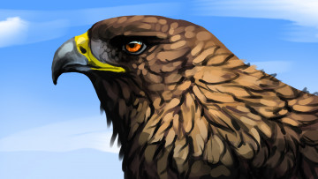 Картинка рисованное животные +птицы +орлы взгляд клювь орел