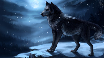 обоя рисованное, животные,  волки, ночь, фон, взгляд, волк