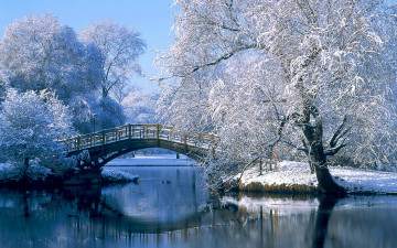 Картинка природа парк мост снег деревья озеро зима