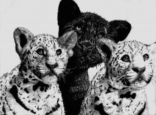 обоя рисованное, животные, трое, леопард