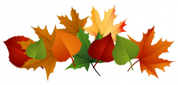 Картинка векторная+графика природа+ nature фон листья осень