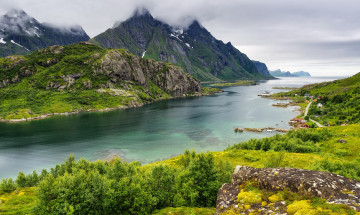 Картинка норвегия природа реки озера деревья камни горы водоем