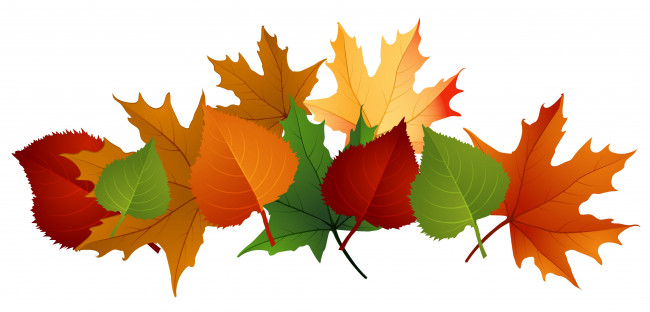 Обои картинки фото векторная графика, природа , nature, фон, листья, осень