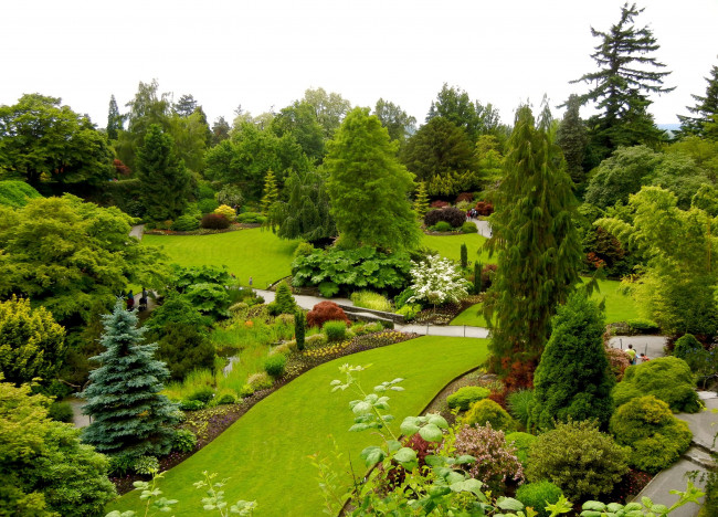 Обои картинки фото природа, парк, канада, queen, elizabeth, garden, ванкувер, зелень, кусты, деревья, газон, дизайн