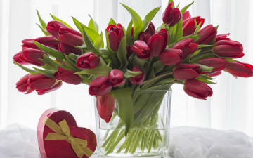 Картинка цветы тюльпаны бутоны букет