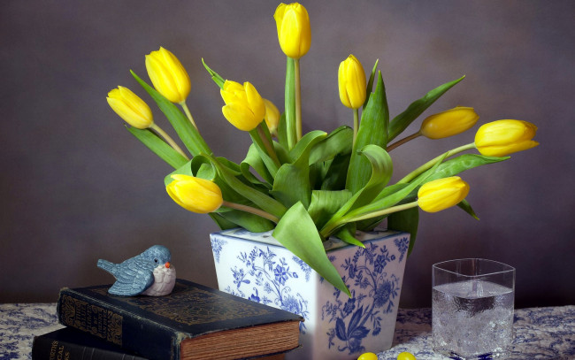 Обои картинки фото цветы, тюльпаны, бутоны, букет