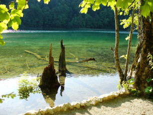 Картинка природа реки озера деревья река вода