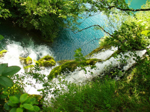 Картинка природа реки озера поток зелень вода