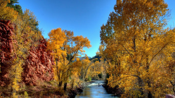 Картинка beautiful river in autumn природа реки озера листва река осень деревья
