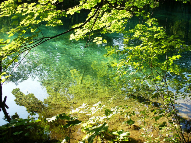 Обои картинки фото природа, реки, озера, отражение, деревья, вода, река