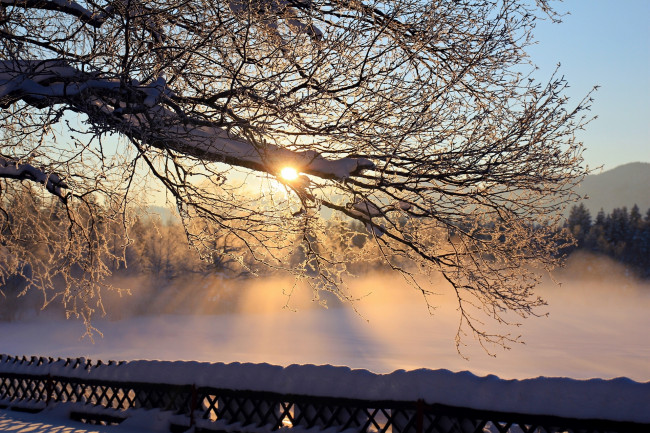 Обои картинки фото природа, зима, дерево, рассвет, мороз, утро, снег
