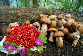 Картинка еда разное дары лета