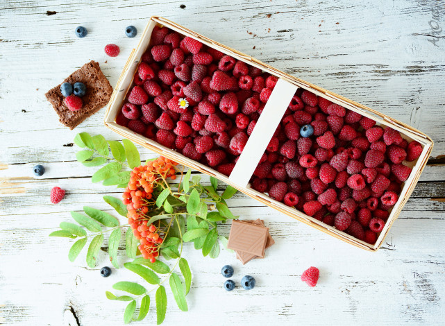 Обои картинки фото еда, фрукты,  ягоды, черника, шоколад, малина, ягоды, лукошко, рябина