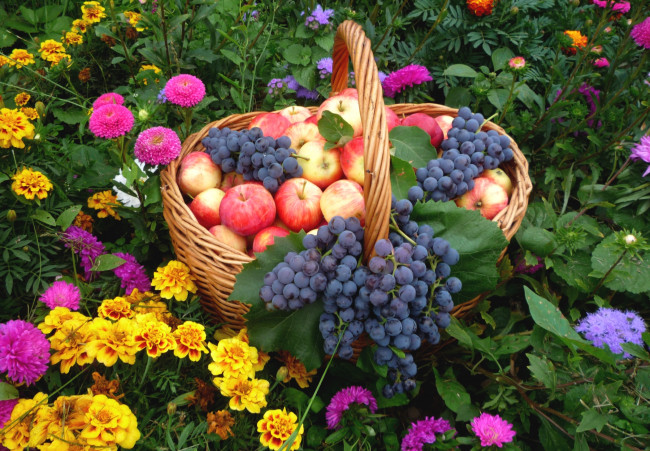 Обои картинки фото еда, фрукты,  ягоды, виноград, яблоки