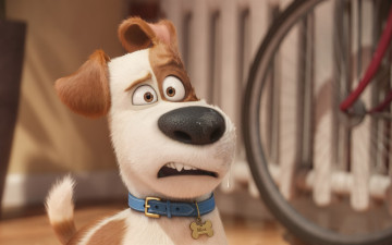 обоя the secret life of pets, мультфильмы, персонаж