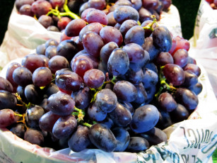 Картинка еда виноград ягоды спелый гроздь