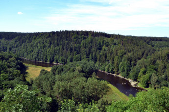 Картинка природа реки озера лес река деревья панорама