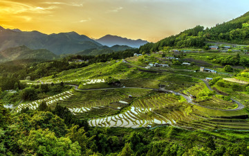 Картинка природа поля горы террасы рисовые
