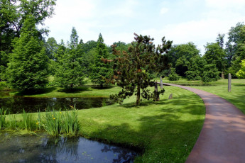 Картинка природа парк аллея пруд