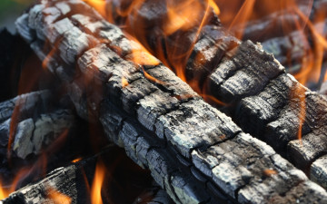 Картинка природа огонь дрова угли костер